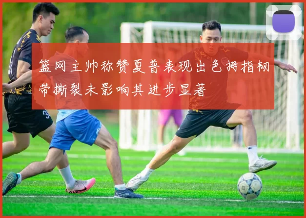 篮网主帅称赞夏普表现出色拇指韧带撕裂未影响其进步显著